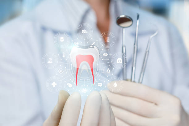Baltimore Highlands, MD  Holistic Dental Services Company